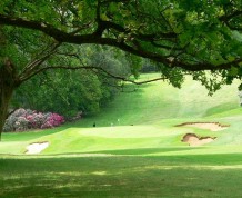 View over Ashridge Golf Club