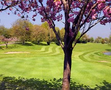 View over Cherry Lodge Golf Club