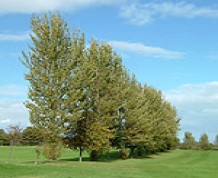 View over Liberton Golf Club