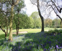 View over Lingdale Golf Club