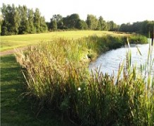 View over Petersfield Golf Club