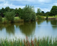 View over Springs Golf Club (The)