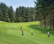 View over Swindon Golf Club (Staffordshire)