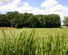 View over Theale Golf Club