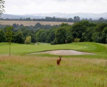 View over Woodbury Park Hotel and Golf Club