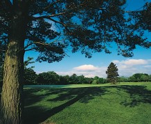 Camperdown Golf Course