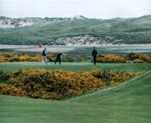 Newburgh on Ythan Golf Club