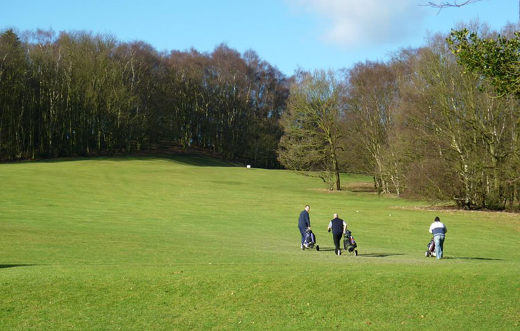 Allestree park