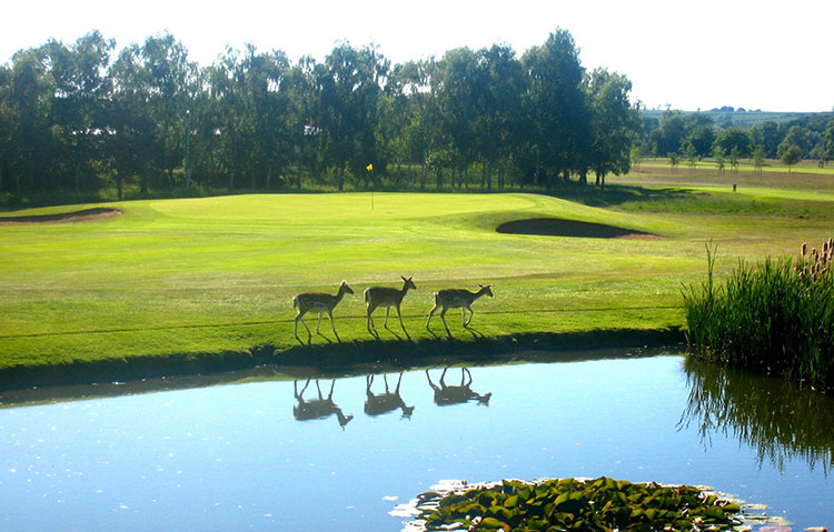 Belton Park Golf Club