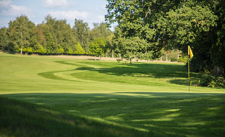 Bulbury Woods Golf Club