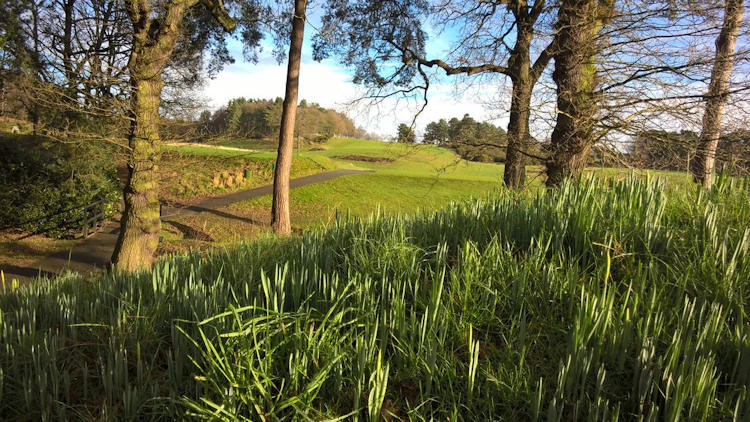 Delamere Forest Golf Club