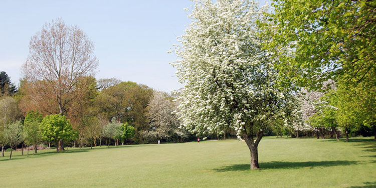 Dereham Golf Club