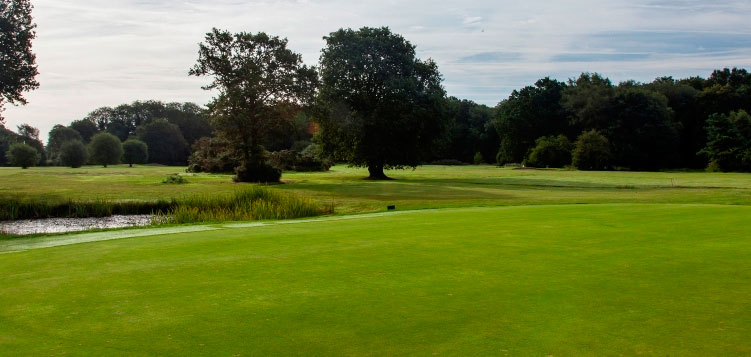 Ferndown Forest Golf Club