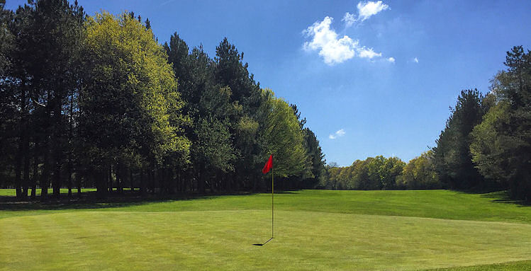 Hemsted Forest Golf Club