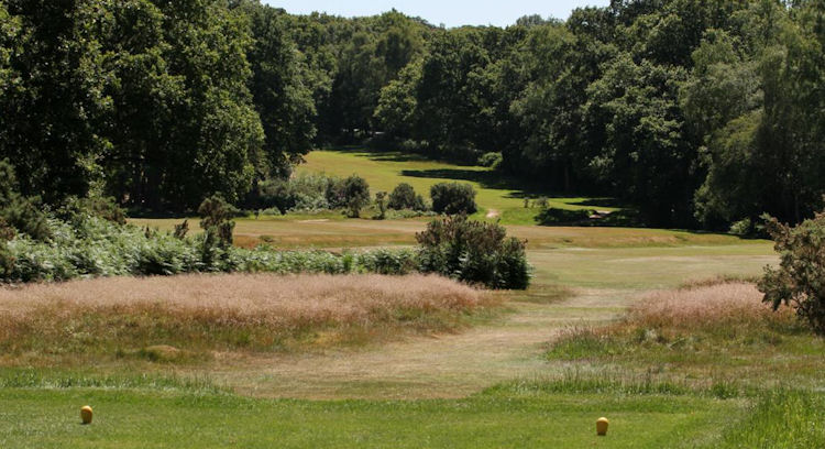 Limpsfield Chart Golf