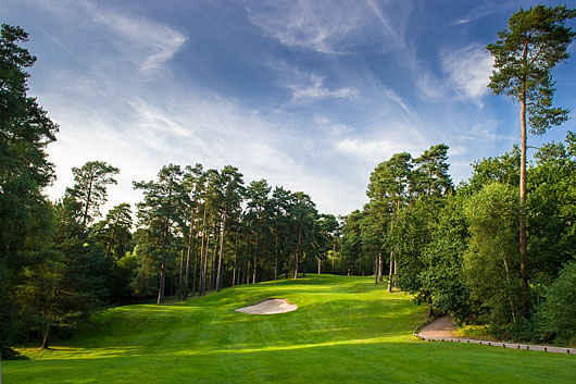 Image result for pine ridge golf course surrey