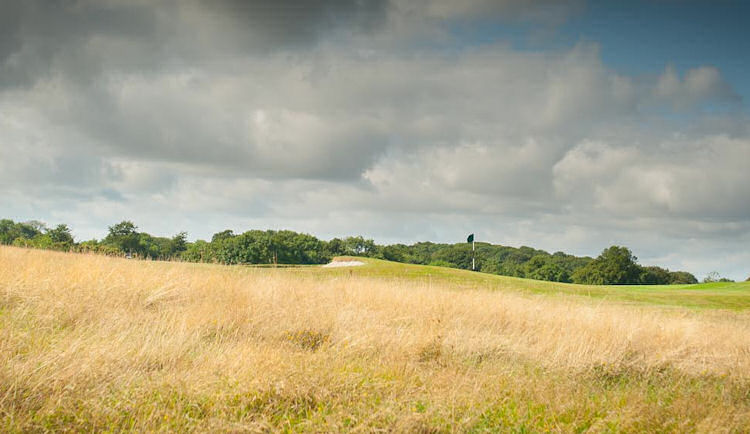 Woodbury Park Hotel and Golf Club