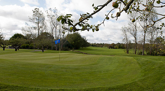 Beaverstown Golf Club