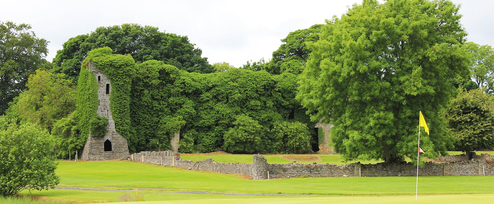 Delvin Castle Golf Club