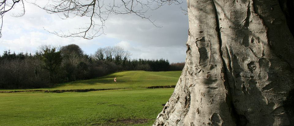 Swinford Golf Club