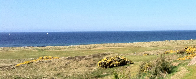 Covesea Links