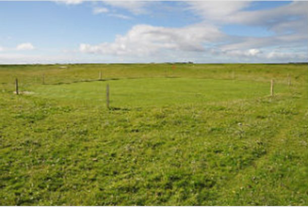 Sanday Golf Club