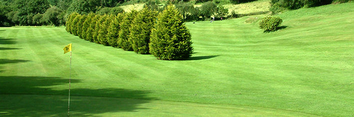 Cwmrhydneuadd Golf Club